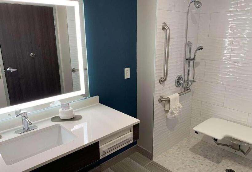 Номер Стандарт Кровать Кинг Адаптированный для Инвалидов, La Quinta Inn & Suites By Wyndham Holbrook Petrified Forest