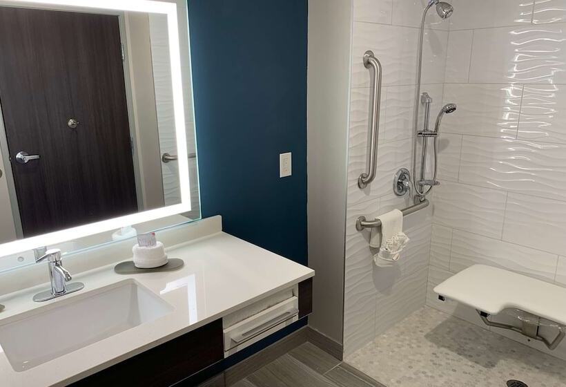 Люкс Адаптированный для Инвалидов, La Quinta Inn & Suites By Wyndham Holbrook Petrified Forest
