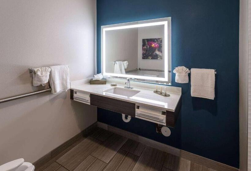 Номер Deluxe Кровать Кинг, La Quinta Inn & Suites By Wyndham Holbrook Petrified Forest