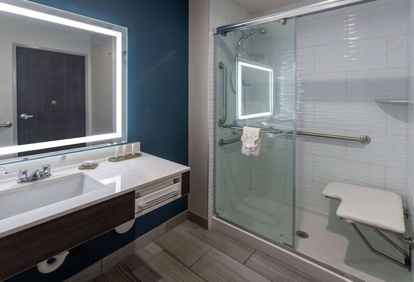 Люкс Адаптированный для Инвалидов, La Quinta Inn & Suites By Wyndham Holbrook Petrified Forest
