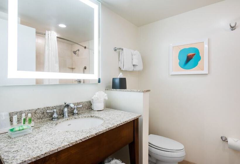 스탠다드 룸 더블 침대, Holiday Inn Orlando – Disney Springs™ Area, An Ihg
