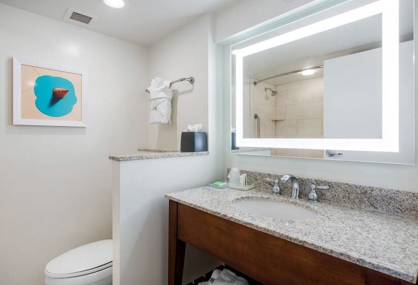 스탠다드 룸 더블 침대, Holiday Inn Orlando – Disney Springs™ Area, An Ihg