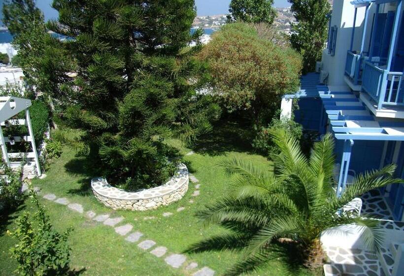 Quarto Estandar, Panorama Paros