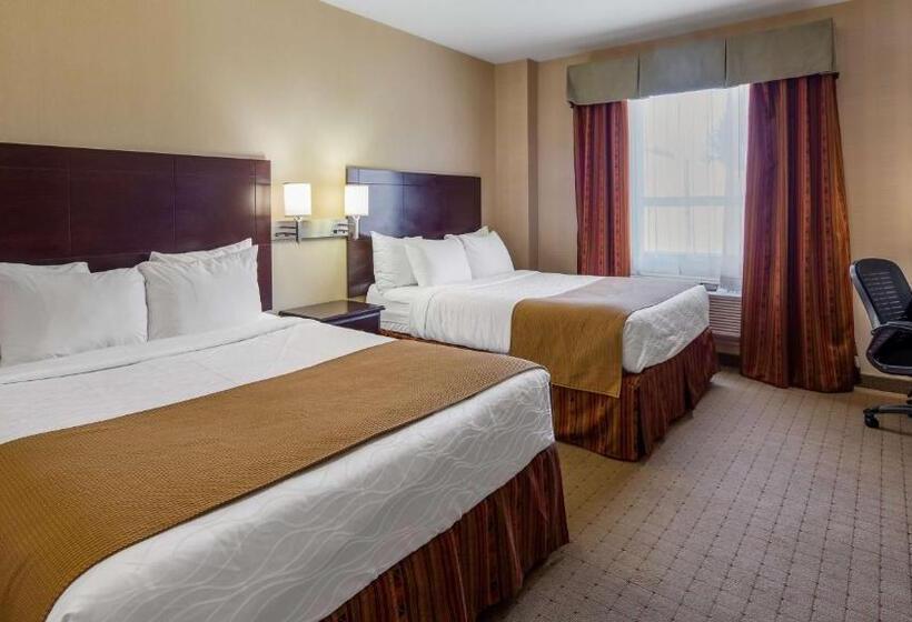 スタンダードルーム, Best Western Plus Bowmanville