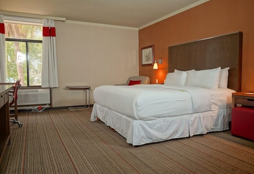 ダブルベッドのクラシックルーム, Four Points By Sheraton Saltillo