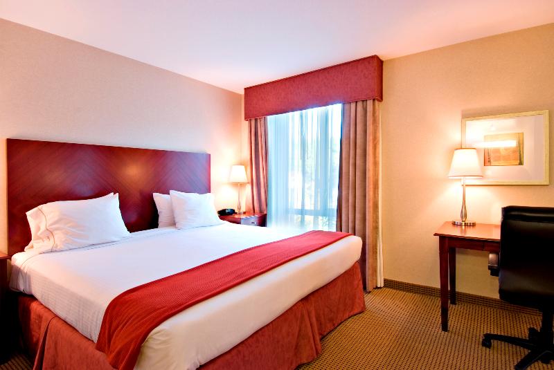 スタンダードルーム, Holiday Inn Express And Suites Surrey, An Ihg
