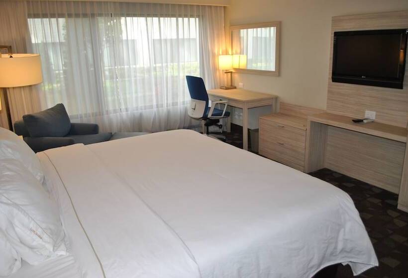 スタンダードルーム, Holiday Inn Express Toluca, An Ihg