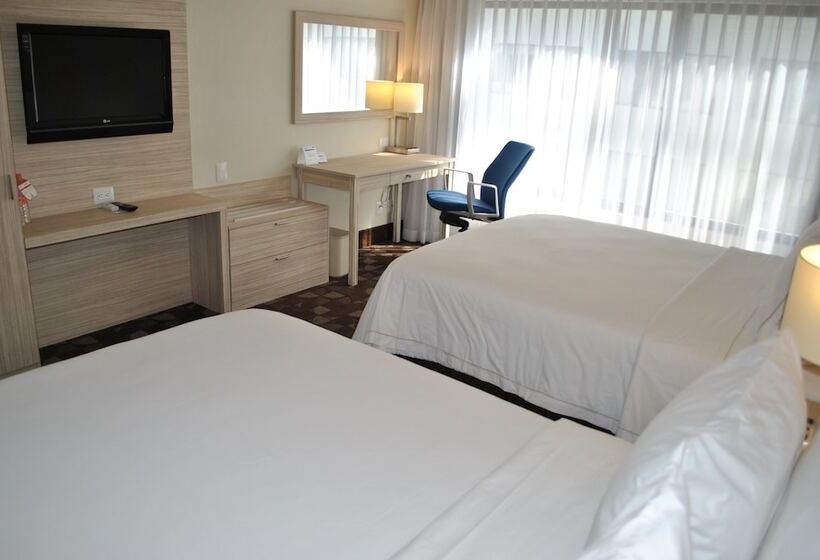 ２ダブルベッドのスタンダードルーム, Holiday Inn Express Toluca, An Ihg