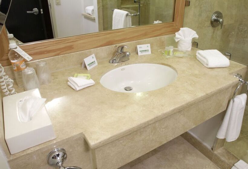 اتاق استاندارد, Holiday Inn Monterrey Valle, An Ihg
