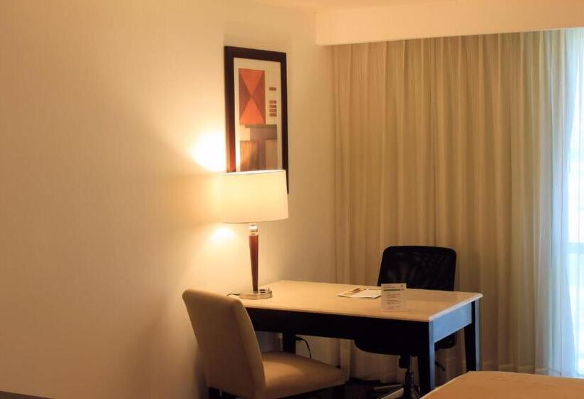 اتاق اجرایی, Holiday Inn Monterrey Valle, An Ihg
