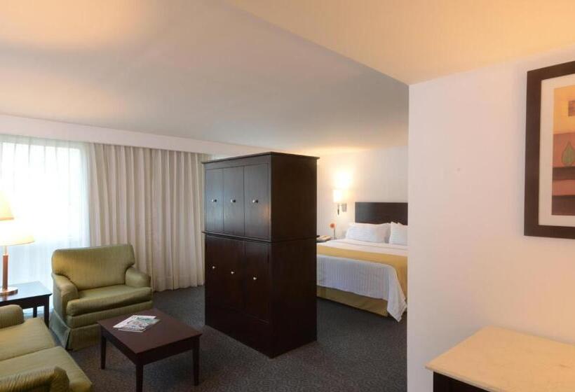 سوییت جونیور, Holiday Inn Monterrey Valle, An Ihg
