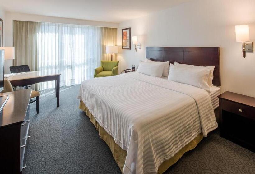 اتاق استاندارد با تخت بزرگ, Holiday Inn Monterrey Valle, An Ihg