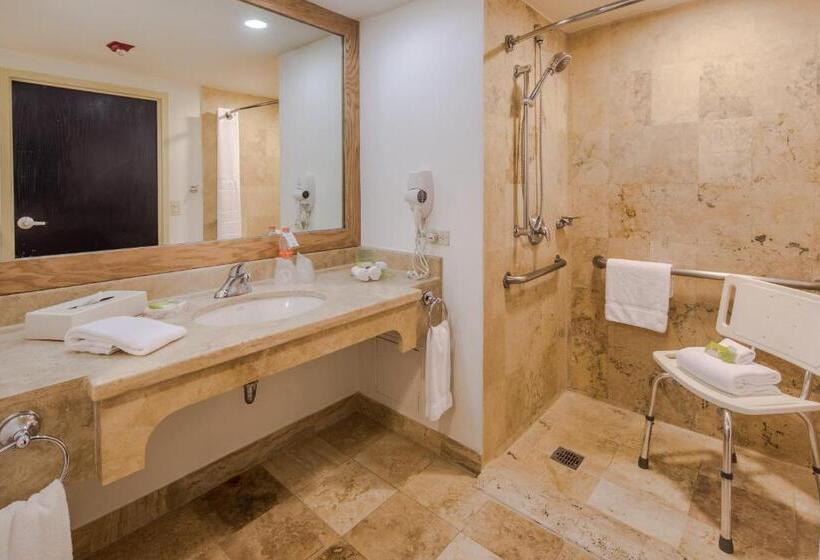 اتاق استاندارد با تخت بزرگ برای معلولان, Holiday Inn Monterrey Valle, An Ihg