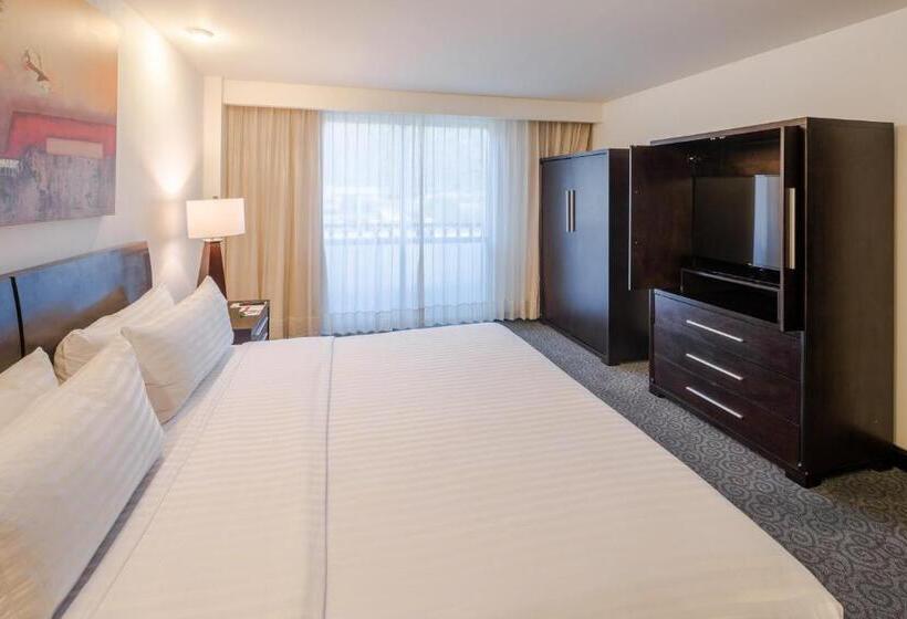 سوئیت با تخت بزرگ, Holiday Inn Monterrey Valle, An Ihg