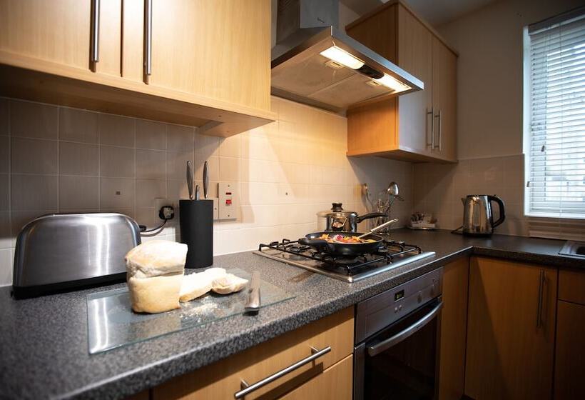 آپارتمان لوکس 2 خوابه, The Spires Serviced Apartments Aberdeen
