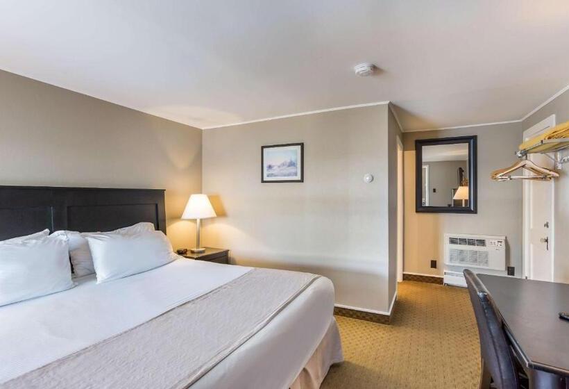 带大床的标准间, Rodeway Inn