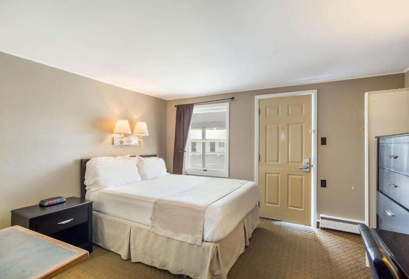 标准间, Rodeway Inn