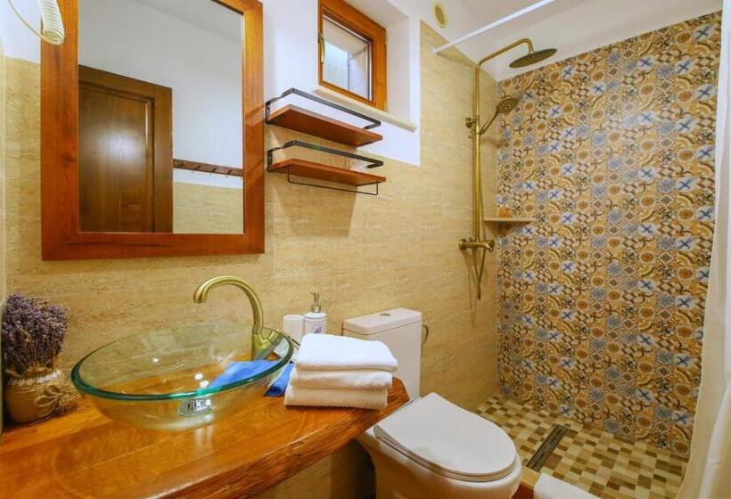 استودیوی استاندارد, Ama Guest House