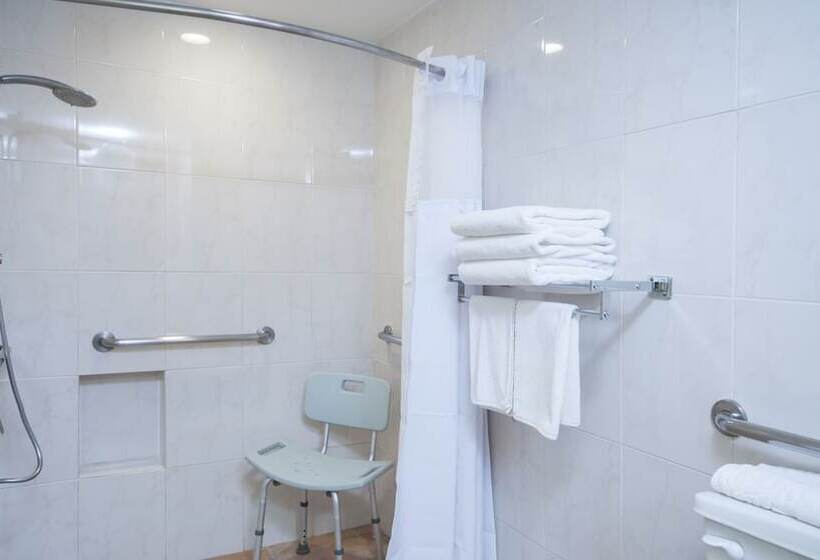 ダブルベッドスタンダードルーム, Holiday Inn Ciudad Del Carmen, An Ihg
