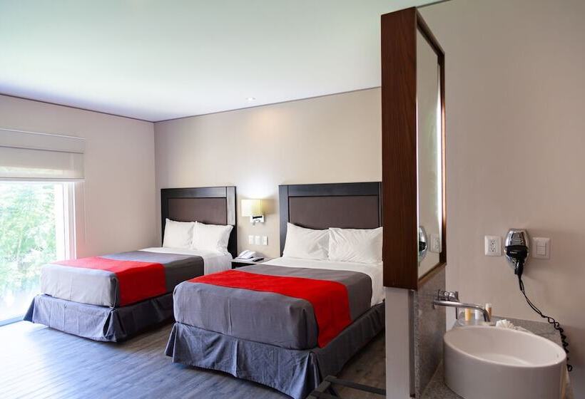 Quarto Executivo, Plaza Camelinas