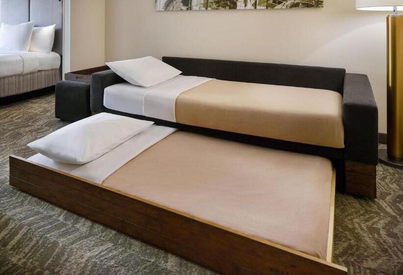Люкс Кровать Кинг, Springhill Suites Charlotte University Research Park