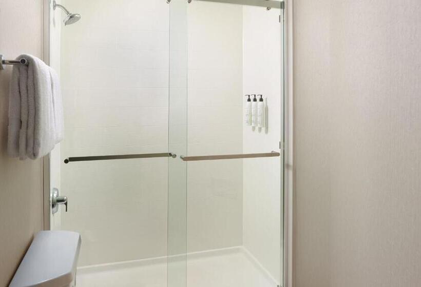 Номер Стандарт 2 Двуспальные Кровати, Springhill Suites Charlotte University Research Park