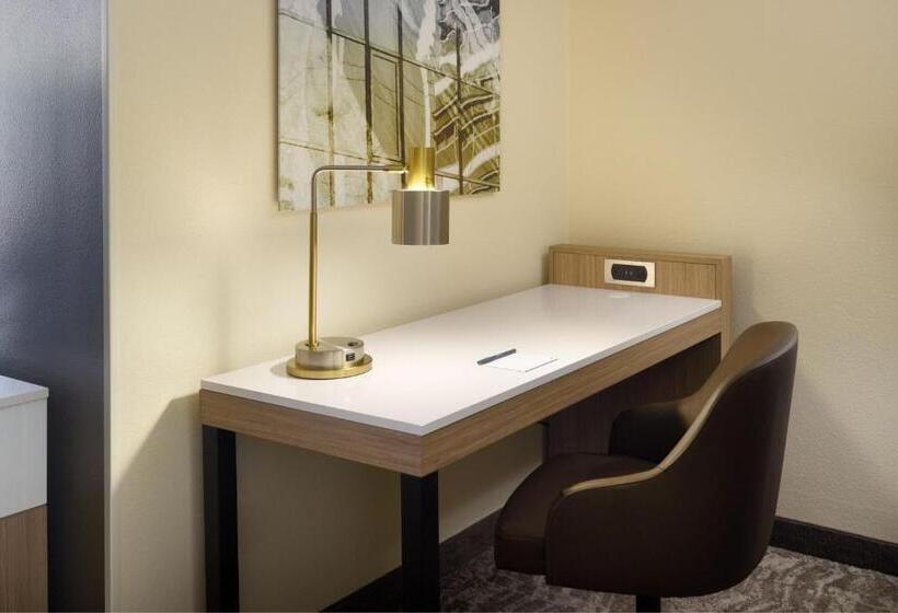 Номер Стандарт 2 Двуспальные Кровати, Springhill Suites Charlotte University Research Park