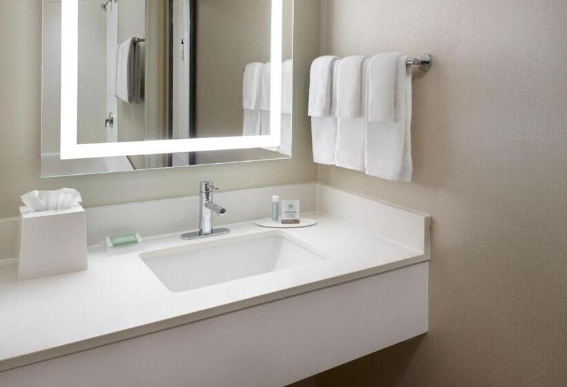 Стандартный Номер Кровать Кинг, Springhill Suites Charlotte University Research Park