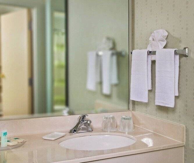 Номер Стандарт 2 Двуспальные Кровати, Springhill Suites Charlotte University Research Park
