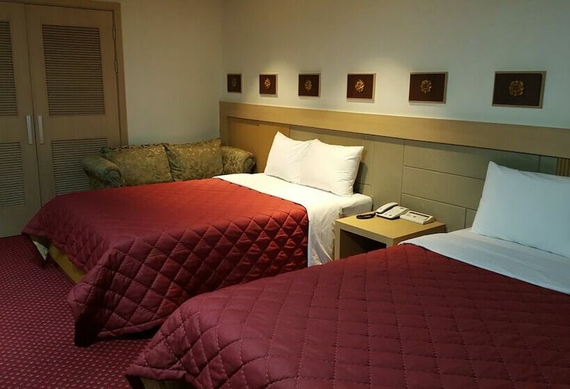 Номер Deluxe, Incheon Airport Hotel Zeumes