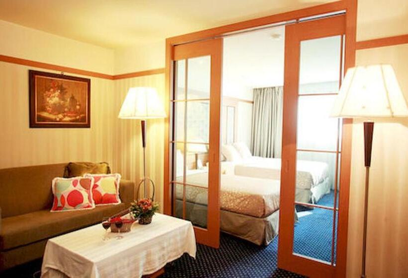 Полулюкс, Incheon Airport Hotel Zeumes
