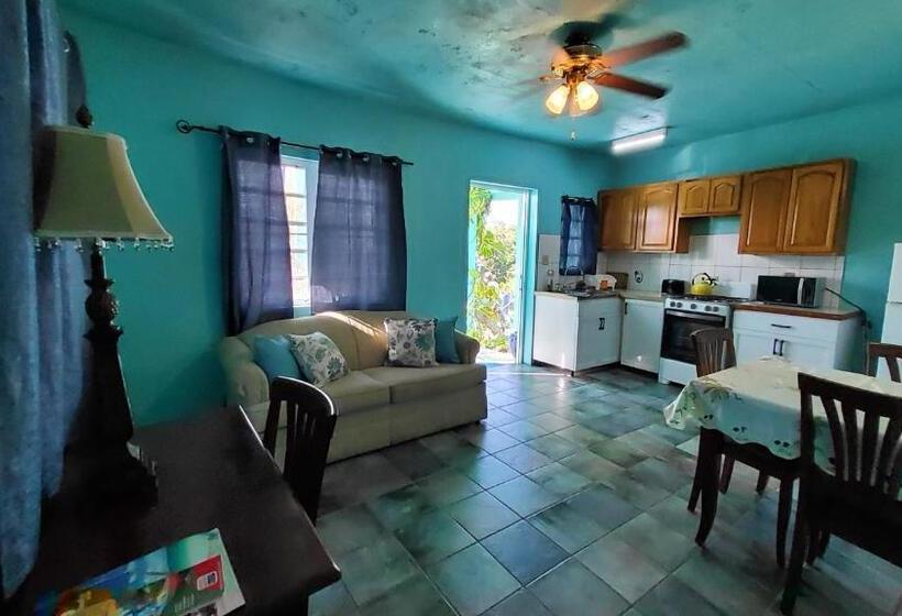 آپارتمان 1 خوابه, Lamblion Holiday Apartment