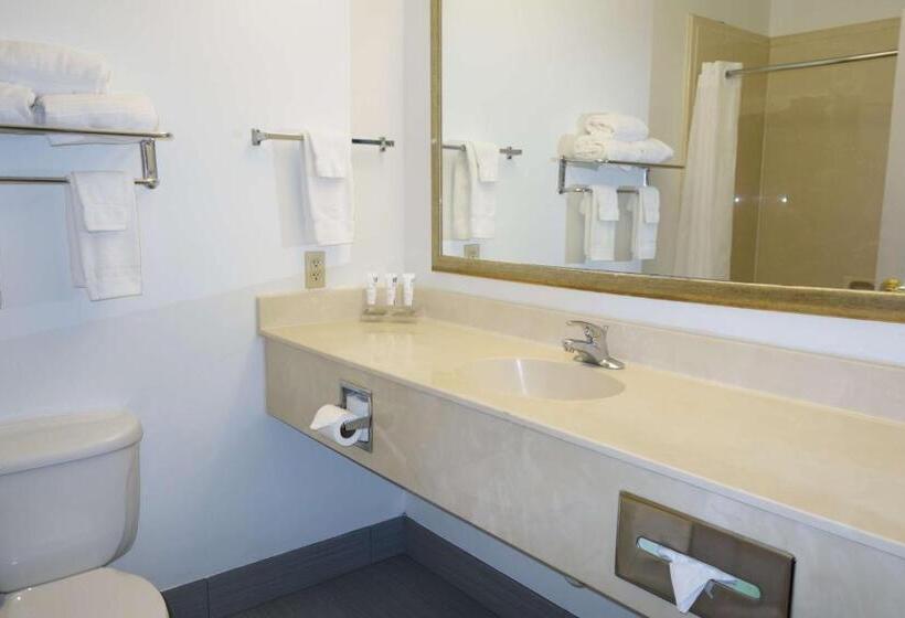 Студио Стандарт Кровать Кинг, Country Inn & Suites By Radisson, Round Rock, Tx
