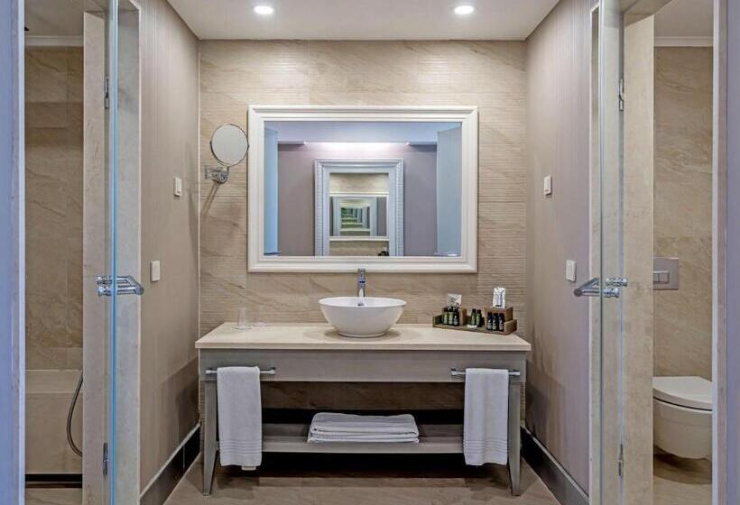 Номер Deluxe с Видом, Tui Magic Life Rixos Beldibi - Adult Only