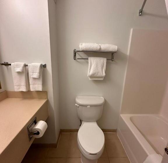 스탠다드 룸 킹사이즈 침대, Summerville Park Inn