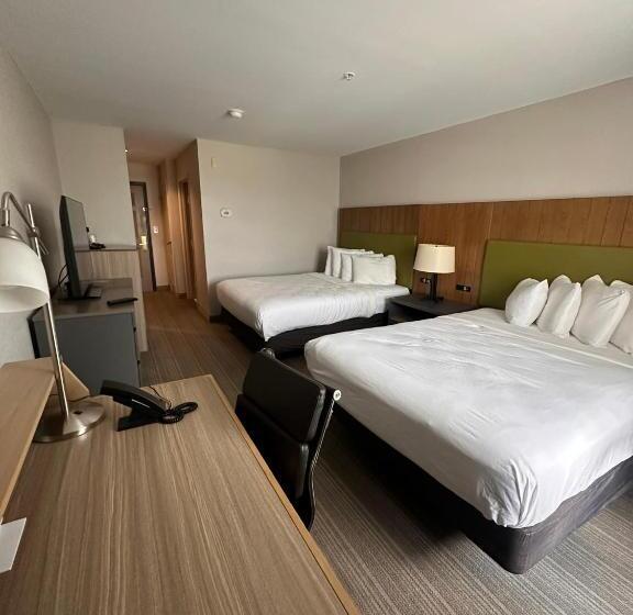 스위트, Summerville Park Inn
