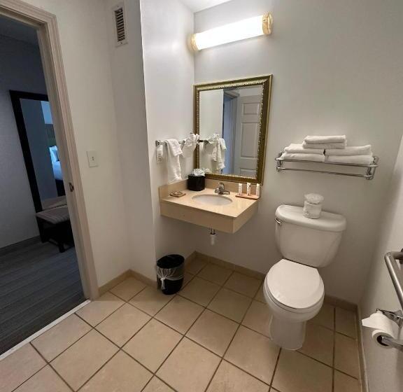 장애인을 위한 스위트, Summerville Park Inn