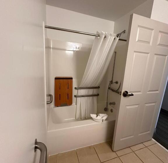 장애인을 위한 스탠다드 룸, Summerville Park Inn