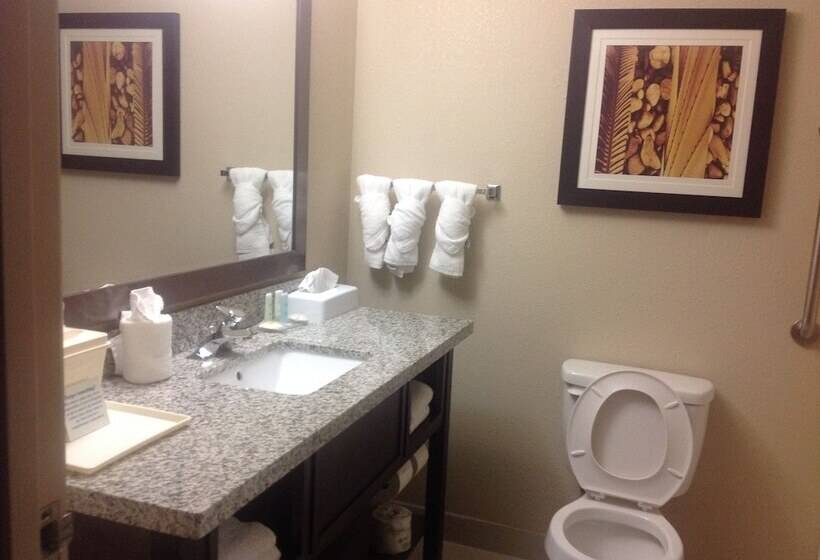 Номер Стандарт, Comfort Inn Dunn Near I95