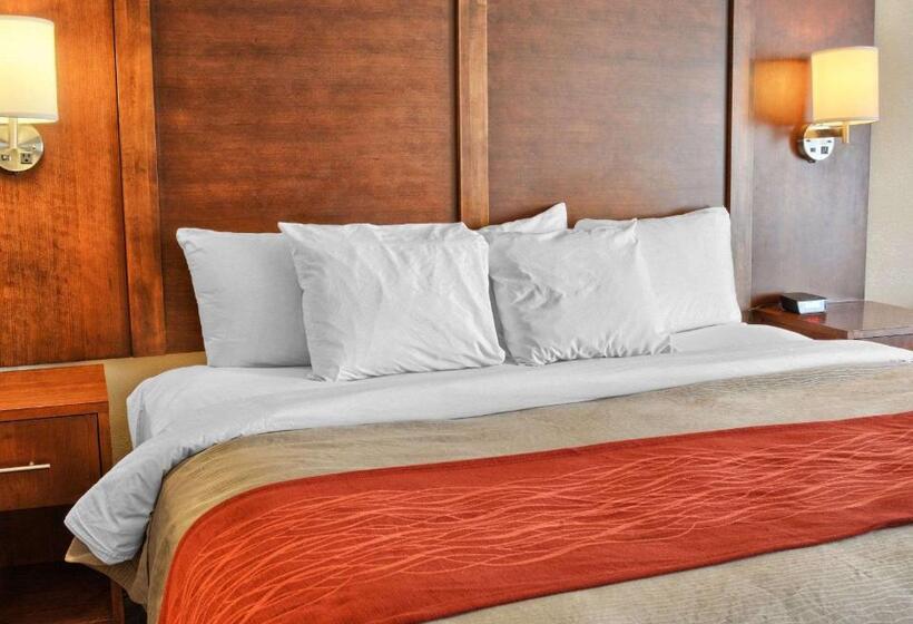 Стандартный Номер Кровать Кинг, Comfort Inn Ruther Glen Near Kings Dominion