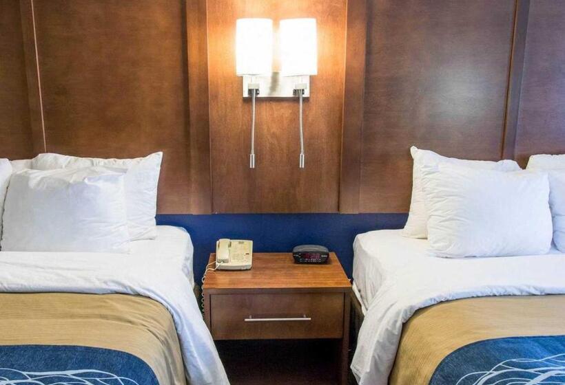 Номер Стандарт 2 Двуспальные Кровати, Comfort Inn & Suites Statesboro  University Area