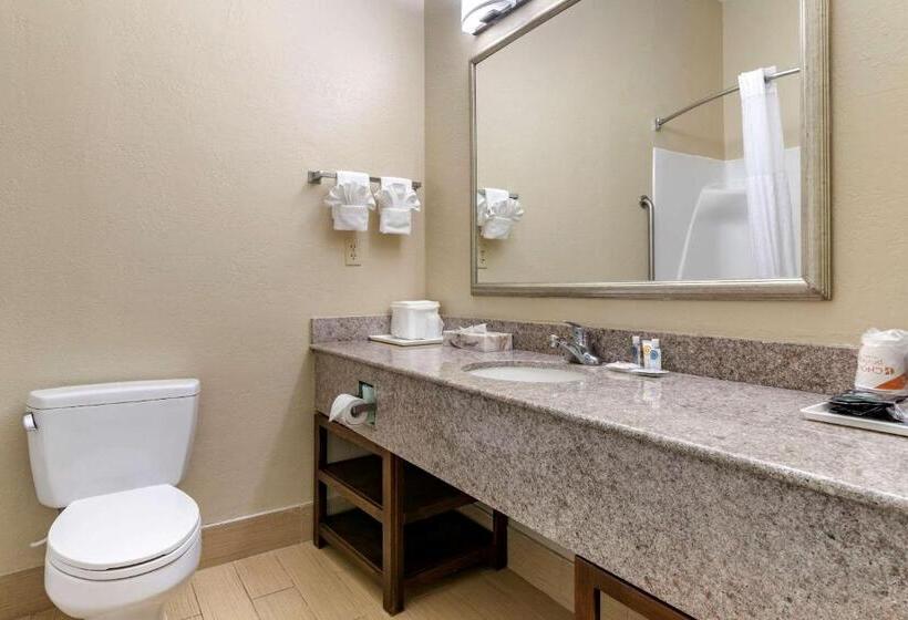 Номер Стандарт, Comfort Inn & Suites Statesboro  University Area