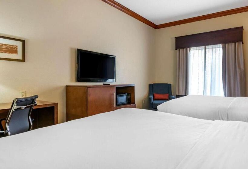 Номер Стандарт Адаптированный для Инвалидов, Comfort Inn & Suites Statesboro  University Area