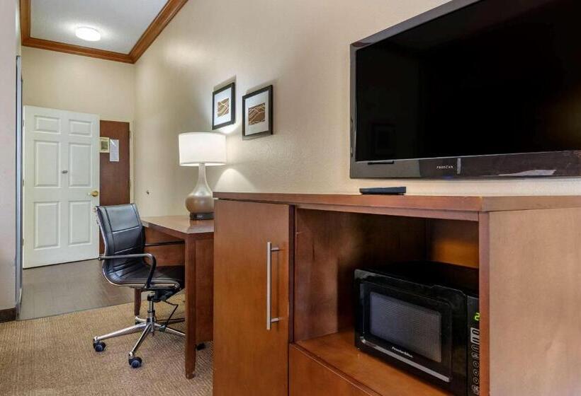 Номер Стандарт Кровать Кинг Адаптированный для Инвалидов, Comfort Inn & Suites Statesboro  University Area