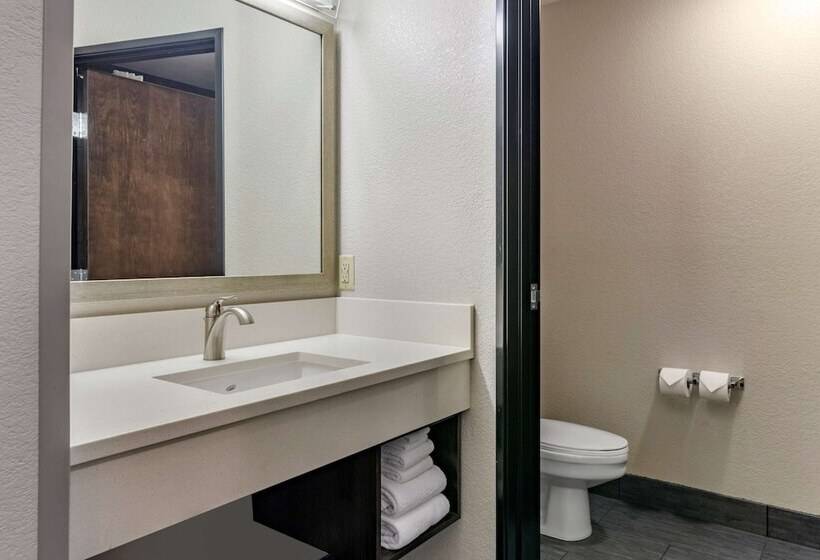 Номер Стандарт, Comfort Inn & Suites Tualatin  Lake Oswego South