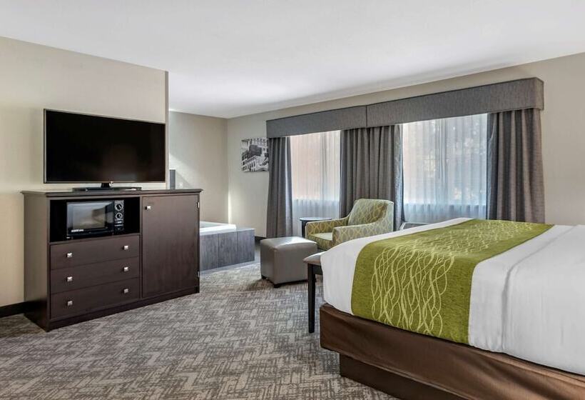 Люкс Адаптированный для Инвалидов, Comfort Inn & Suites Tualatin  Lake Oswego South