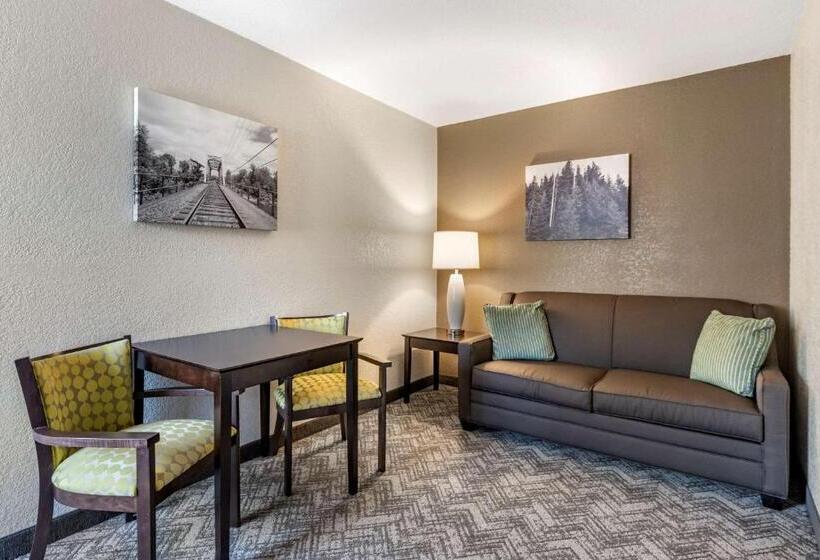Люкс Кровать Кинг, Comfort Inn & Suites Tualatin  Lake Oswego South