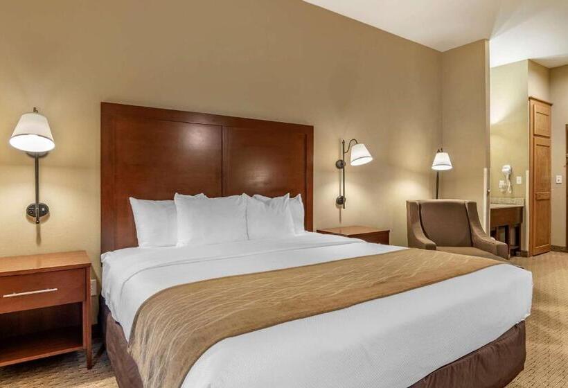 Номер Deluxe Кровать Кинг, Comfort Inn Warrensburg Station