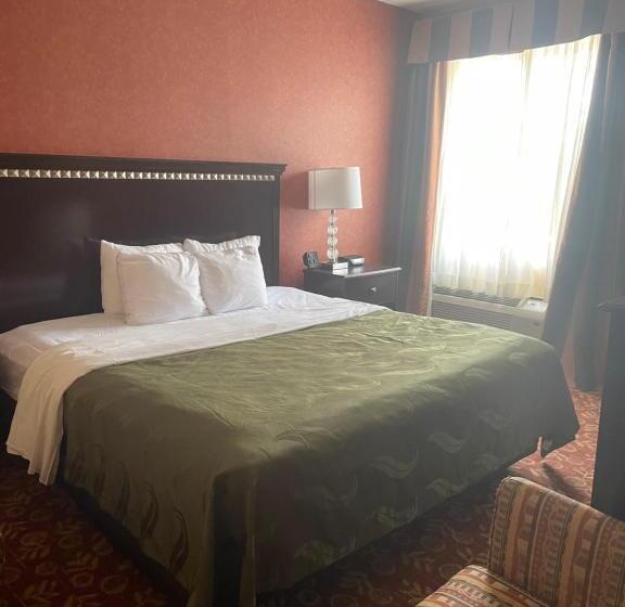 스탠다드 룸 킹사이즈 침대, Quality Inn Vineland