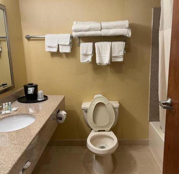 장애인을 위한 킹사이즈 침대 스탠다드 룸, Quality Inn Vineland